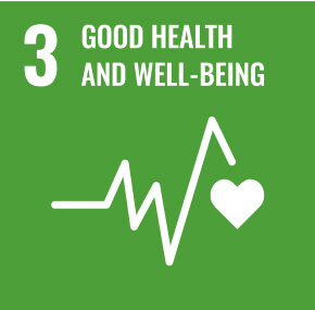 sdgs icon