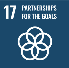 sdgs icon